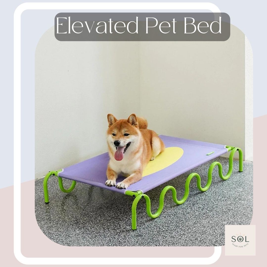 Elevated Pet Bed Pet Supplies Health Grooming on Carousell