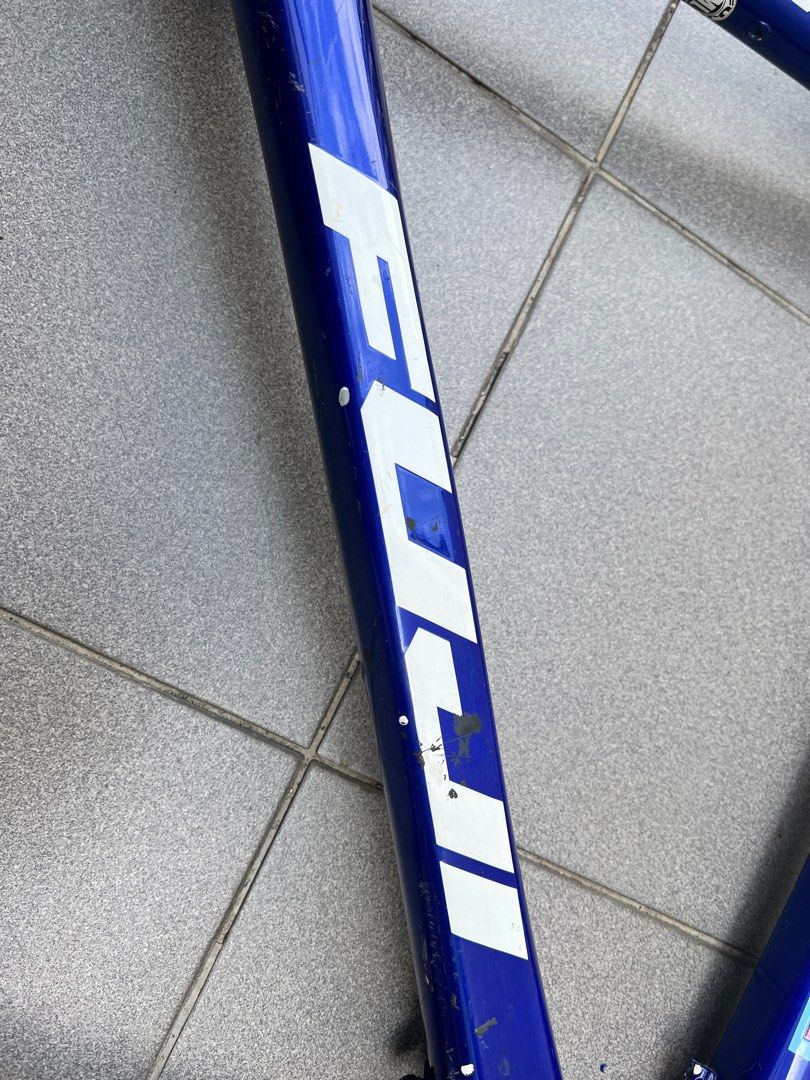 Fuji SL1 frame Bianchi carbon fork