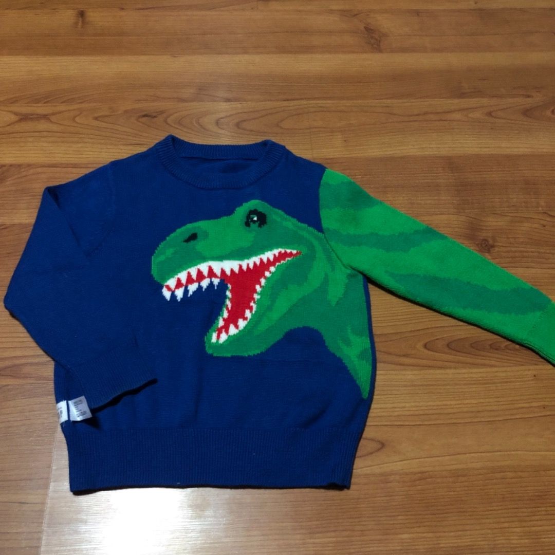 GAP dino sweater Babies Kids Babies Kids Fashion on Carousell