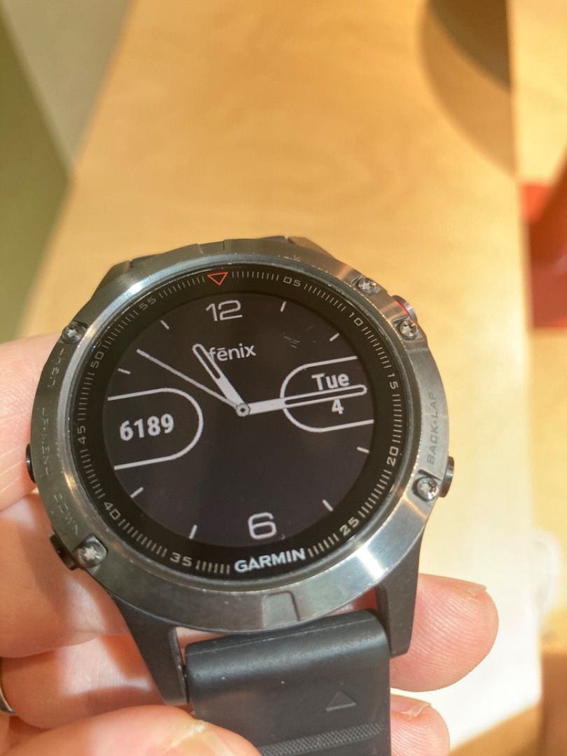Garmin fenix sales 5 activity tracking