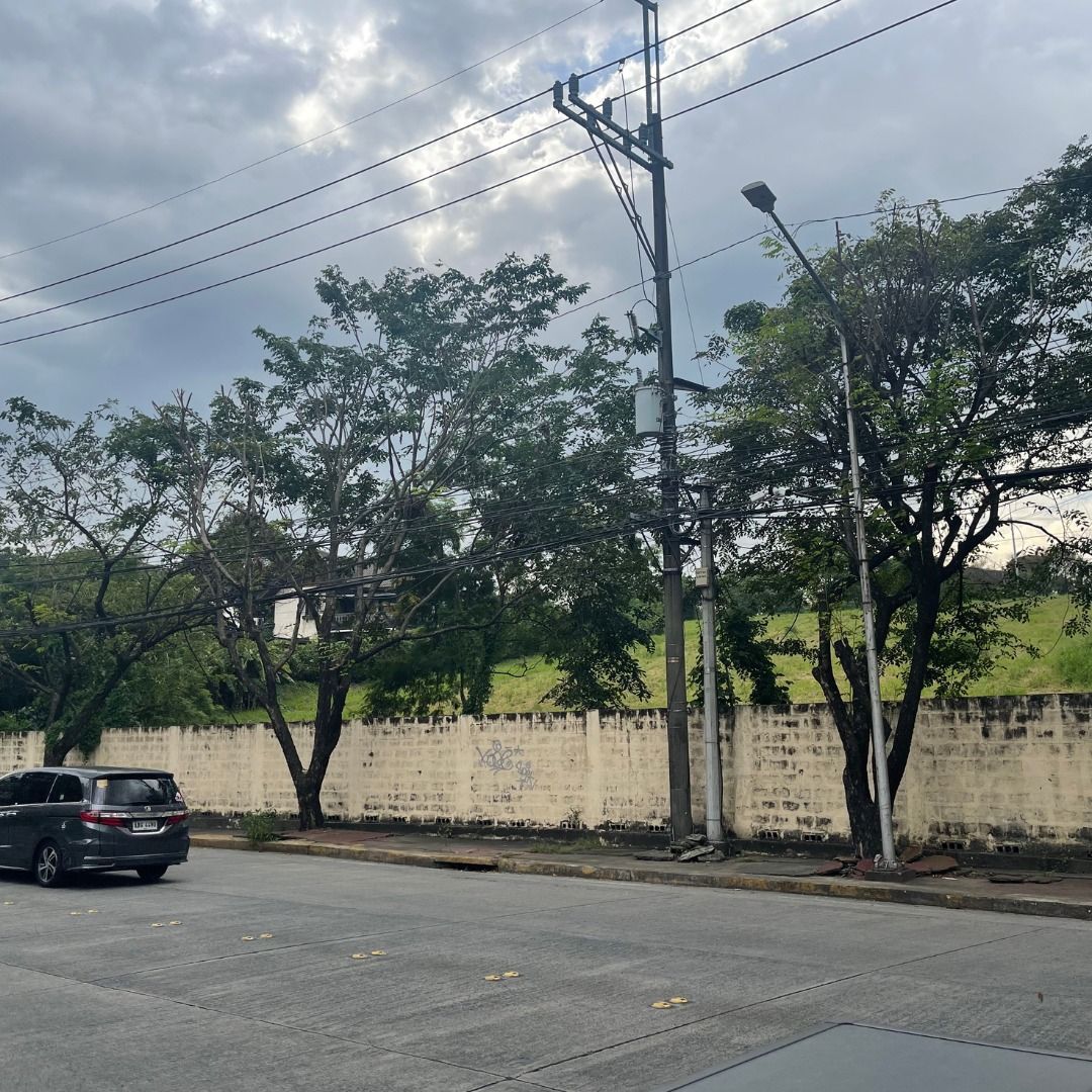 Green Meadows Agricultural Land, Quezon City For Sale, Property, For