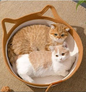 Cat baskets clearance for sale