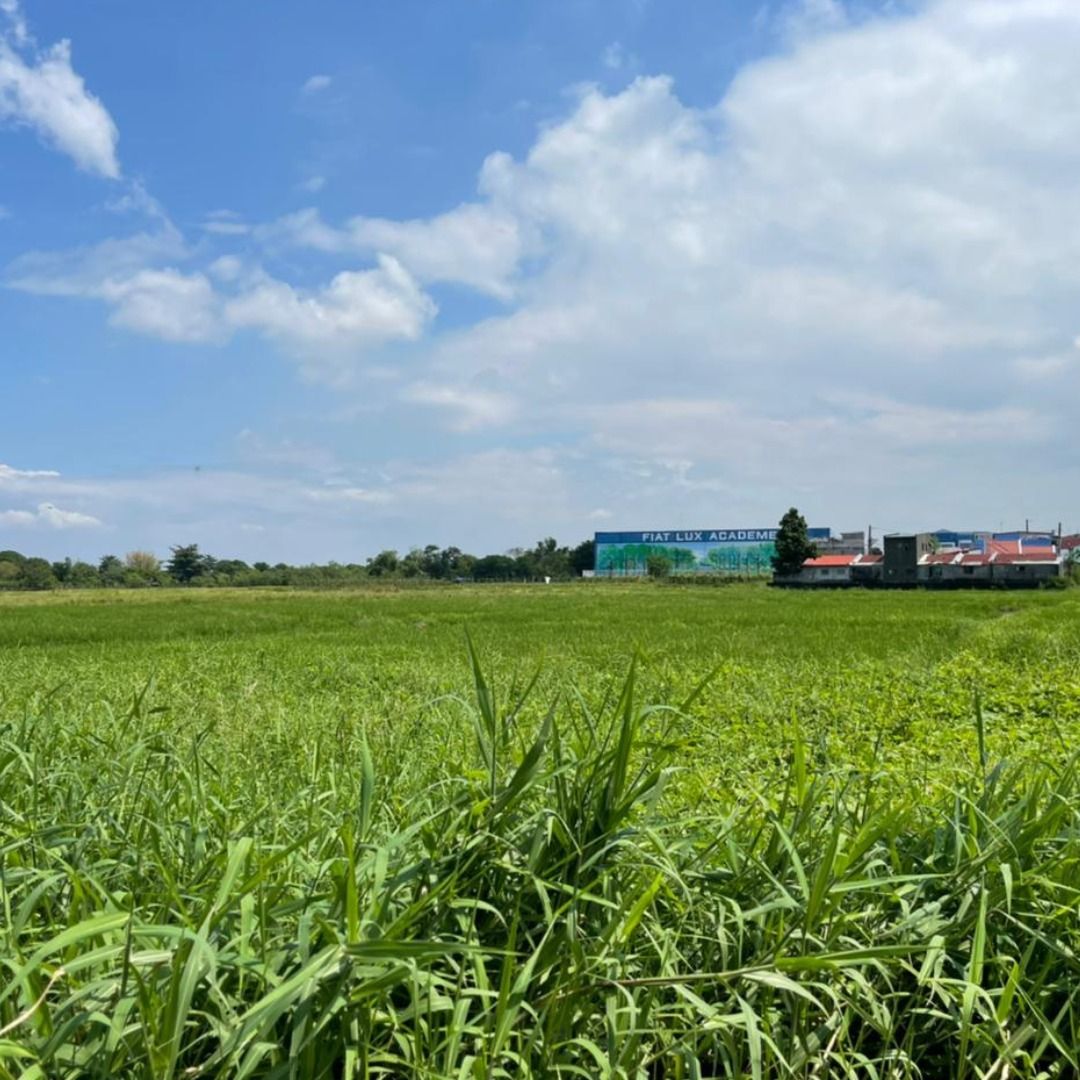 Commercial Lot Pasong Camachile 1 Gen Trias Cavite, Property, For Sale ...
