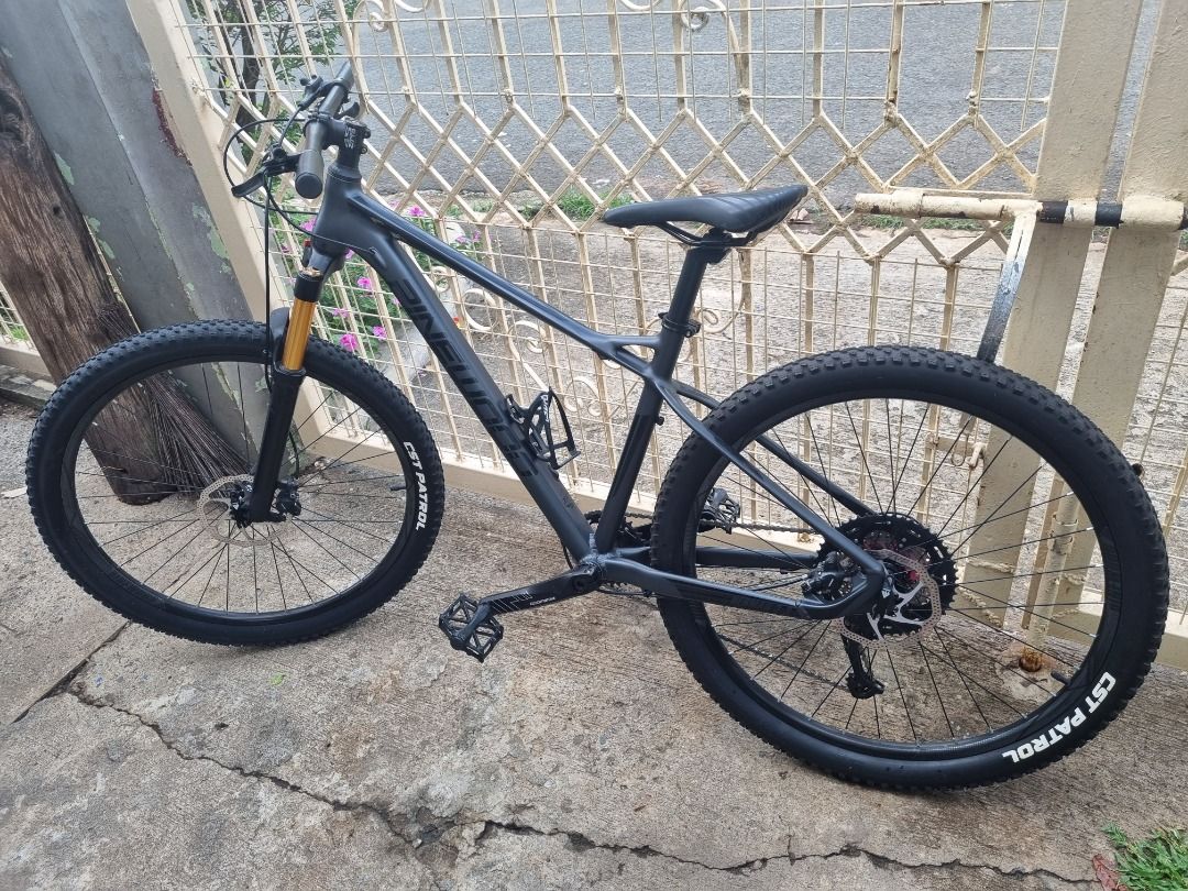 pinewood herman bike