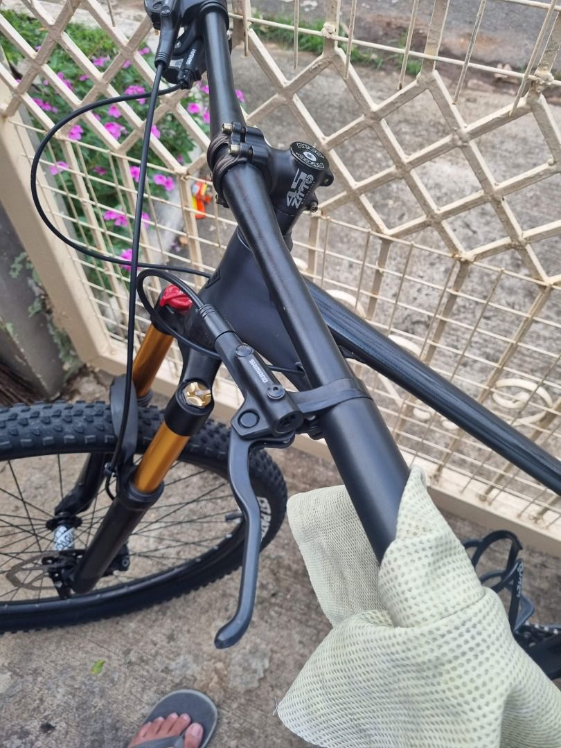 pinewood herman bike