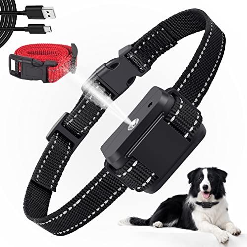 Citronella collars for shop small dogs