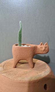 Terracotta / Clay Pot Kitty