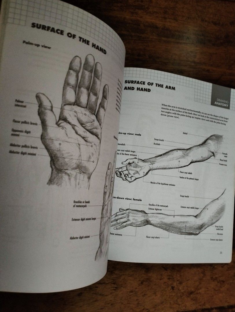 the-practical-guide-to-drawing-anatomy-by-barrington-barber-on-carousell