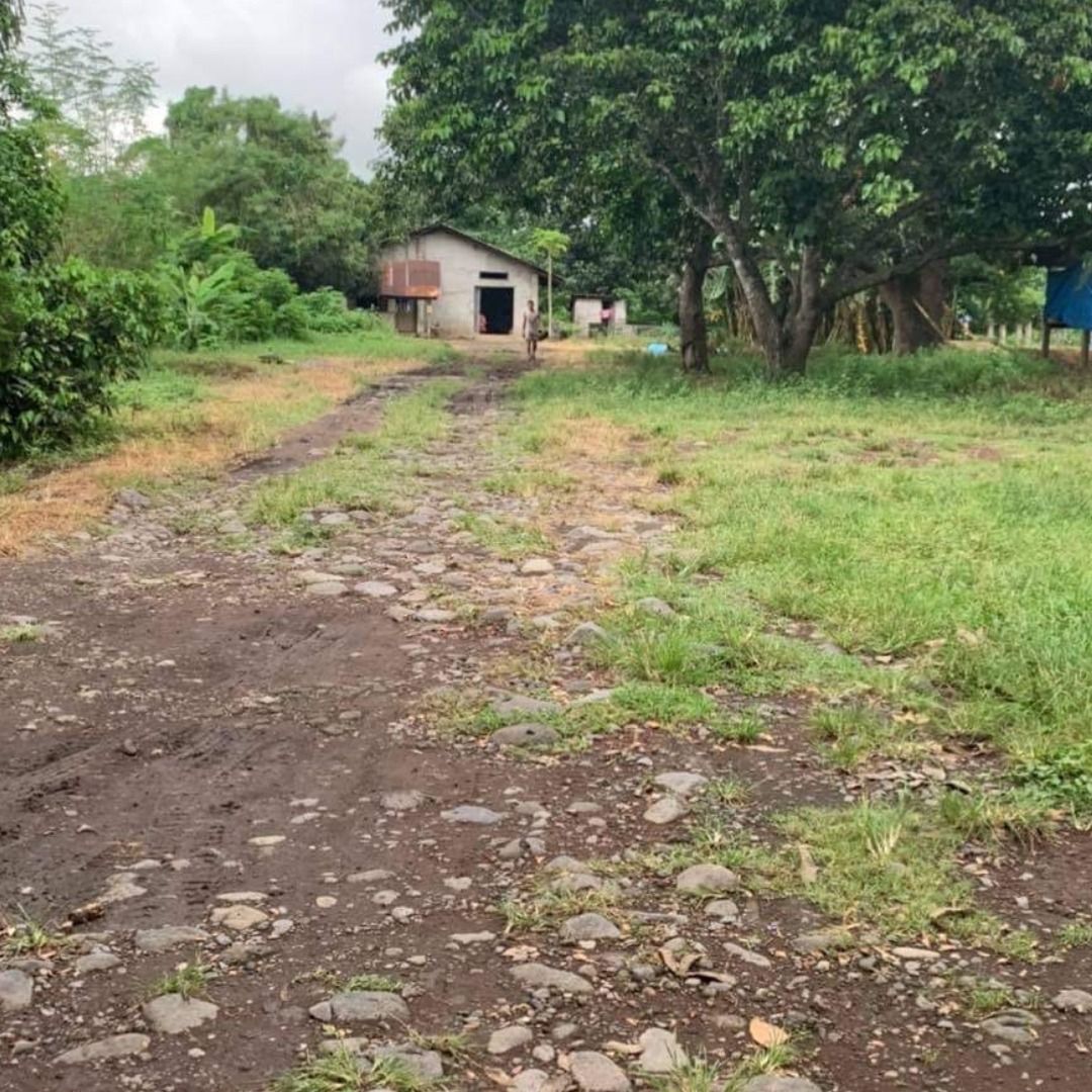 Tiaong Quezon Agricultural Land For Sale, Property, For Sale, Lot on