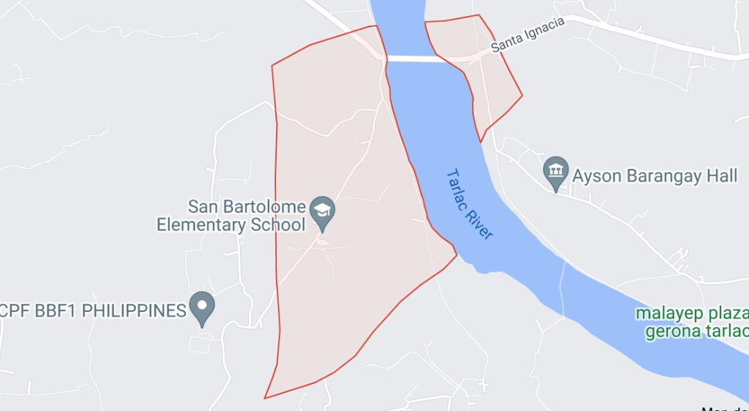 16.8 and 8.6 Hectares Active Mango Farm Lot for sale in San Bartolome