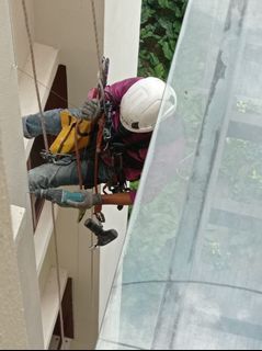 (Category: ) located in . Submitted by birdmanagementsingapore (Listing ID 1241366477, Image 1). Description: .