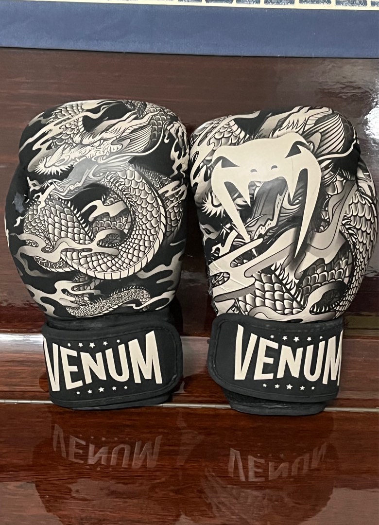 Dragon's Flight Boxing Gloves