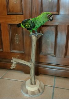 (Category: ) located in . Submitted by 3900charlie (Listing ID 1241217865, Image 1). Description: .