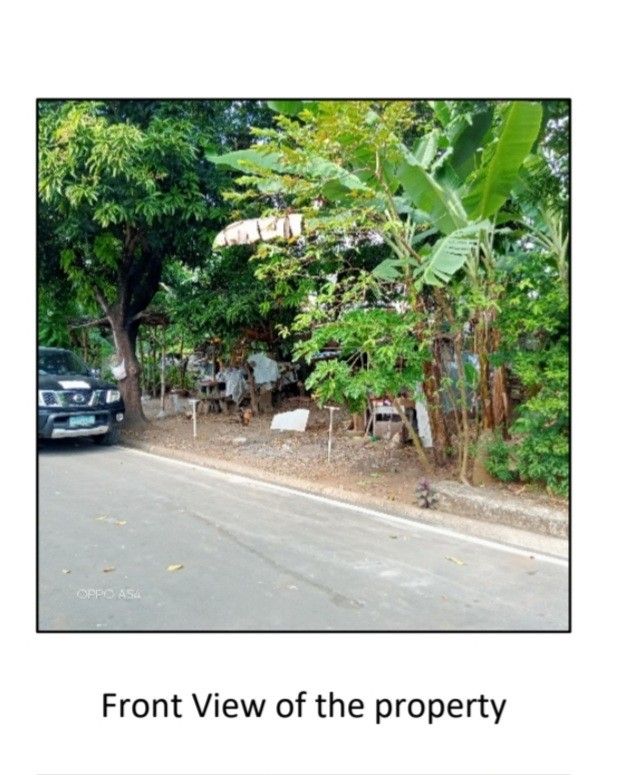 Lot for sale fairmont subdivision regalado highway, Property, For Sale