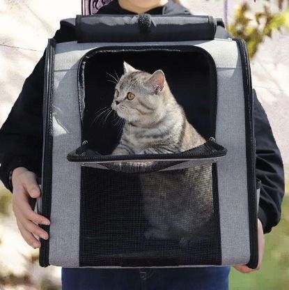 Cat overnight bag new arrivals