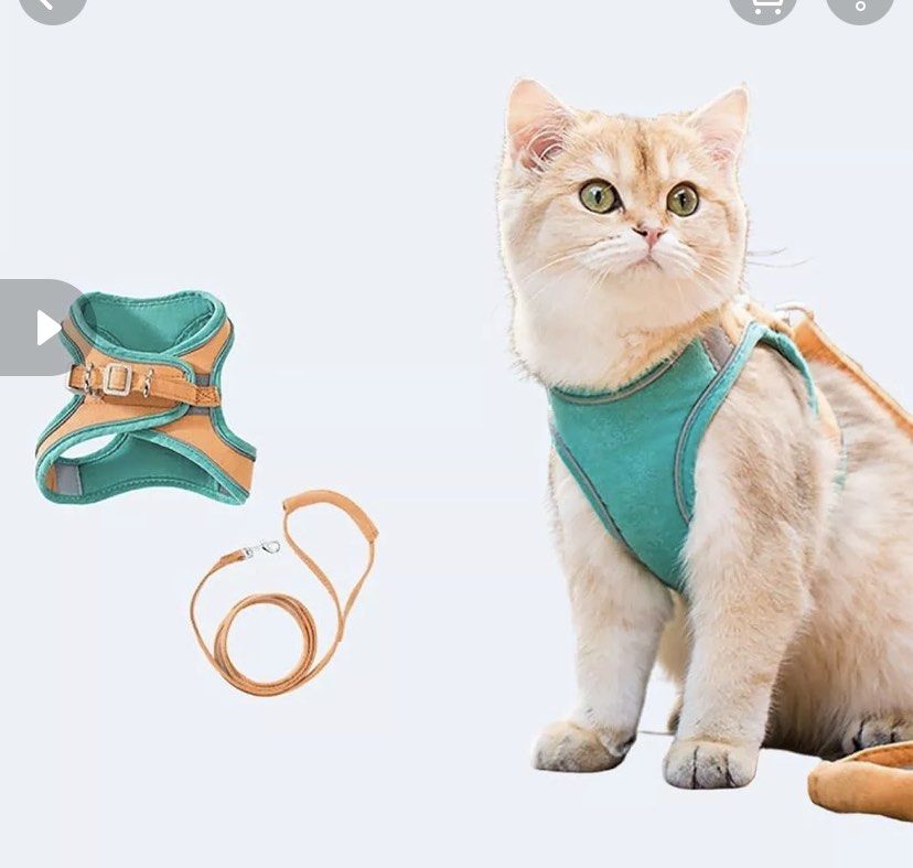 Cat chest harness discount