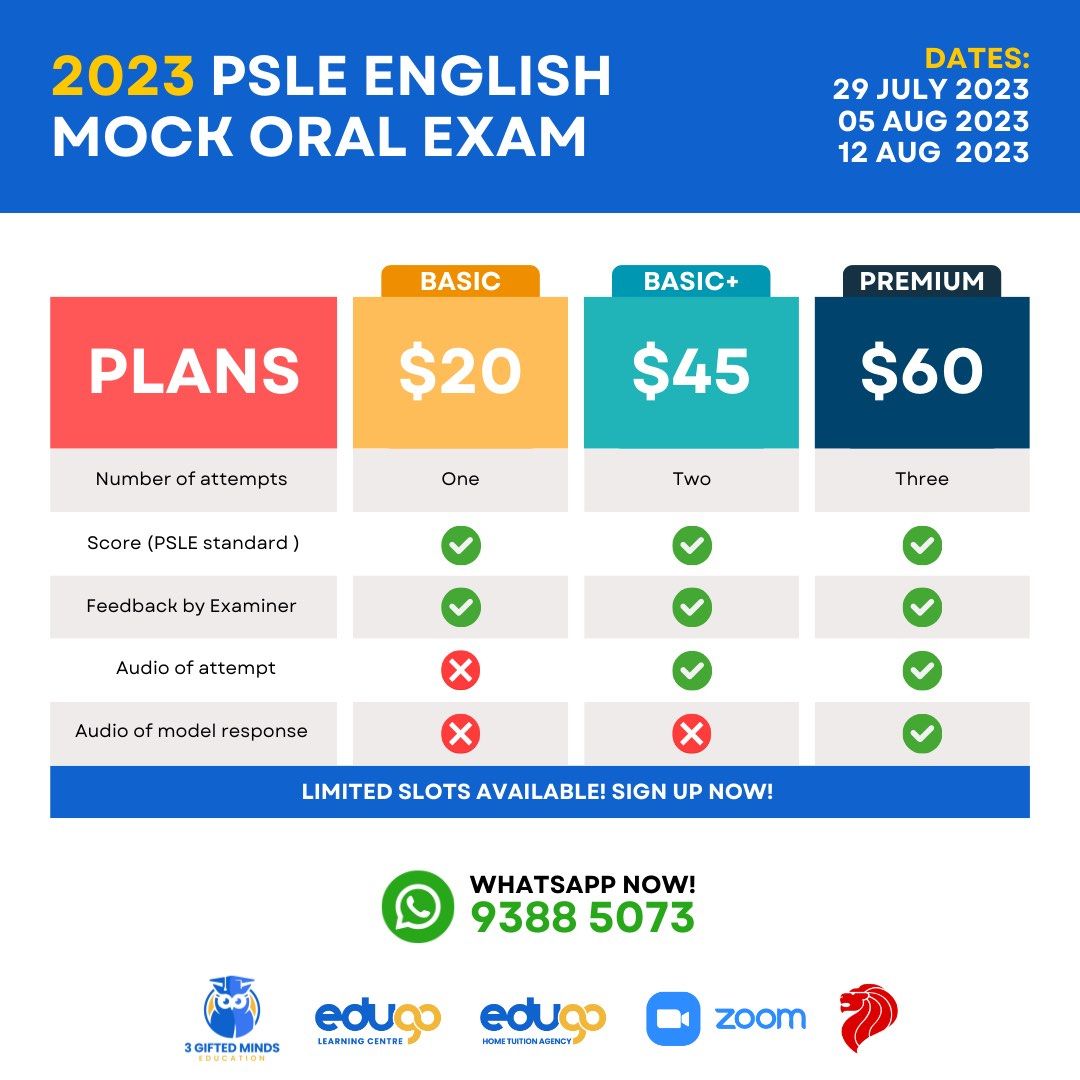 PSLE ENGLISH MOCK ORAL EXAM [1TO1 ONLINE TUITION TUTOR P5/P6
