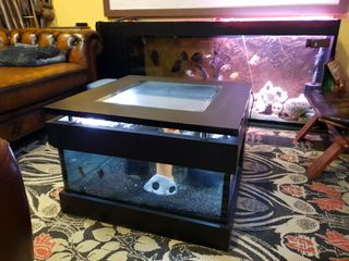 (Category: ) located in . Submitted by aawa1973 (Listing ID 1241321143, Image 1). Description: .