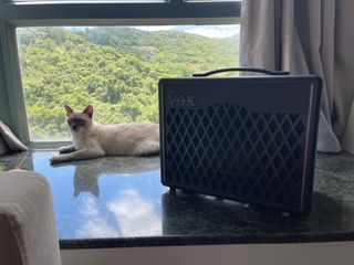 （分類：）位於 。 由 kymytcr9gt 提交（商品編號 1241238830，圖片 1）。簡介： 。