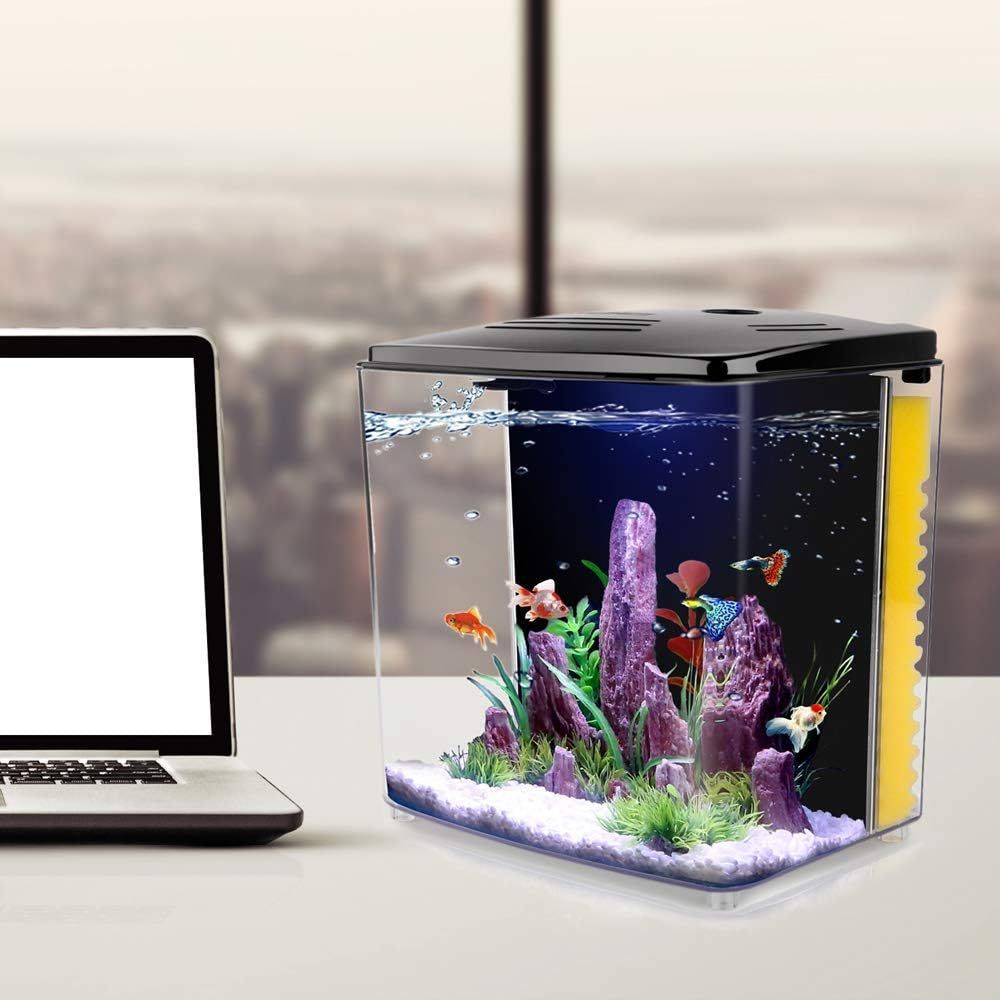 Betta fish tank top starter kit