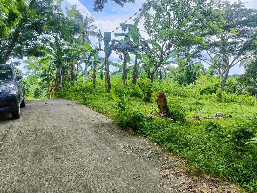 2.3 Hectares Farm Lot For Sale Bailen Cavite on Carousell