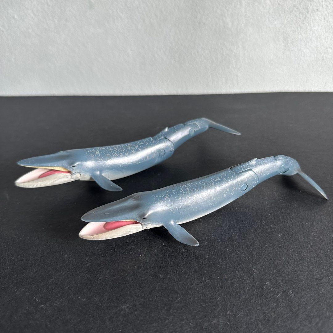 Anlia Simulation Wild Animal Model Educational Toys Blue Whale Natural Biology Anmies Figures