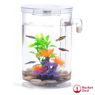 AQQA 1.5 Gallon Aquarium Kits Desktop Small Fish Tank with Filter and Light  (8 Colors Adjustable) Freshwater & Saltwater Betta Fish Tank Kit Office 