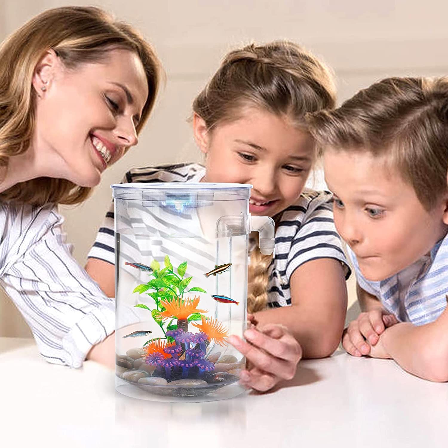 Self cleaning betta fish tank online