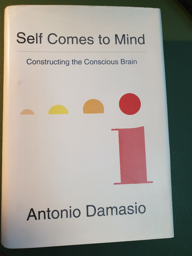 Self Comes to Mind: Constructing the Conscious Brain