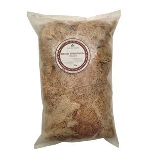 Dried Sphagnum Moss (50 grams) - Halamanin