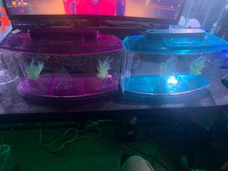 (Category: ) located in . Submitted by xxmaxx (Listing ID 1241494860, Image 1). Description: .