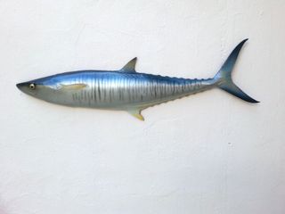 (Category: ) located in . Submitted by fishdecor.sg (Listing ID 1241443339, Image 1). Description: .