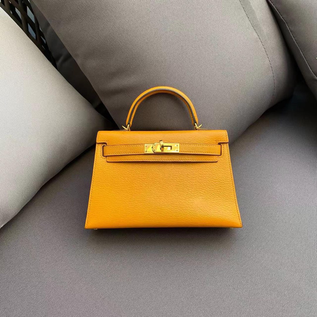 Hermes Kelly 20 vintage Beige Lizard GHW(🇸🇬SG), Women's Fashion, Bags &  Wallets, Purses & Pouches on Carousell