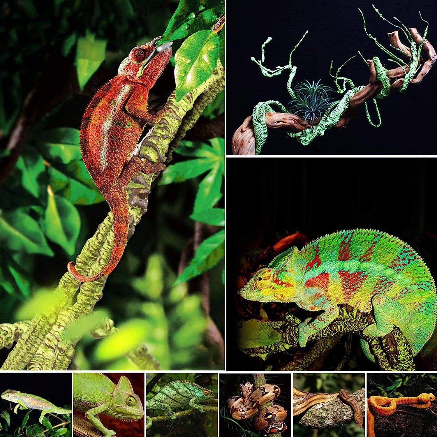 QUOZUO Bearded Dragon Tank Accessories, Reptile Plants Artificial