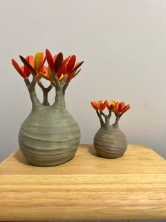 （分類：）位於 。 由 popinafro 提交（商品編號 1241406344，圖片 1）。簡介： 。