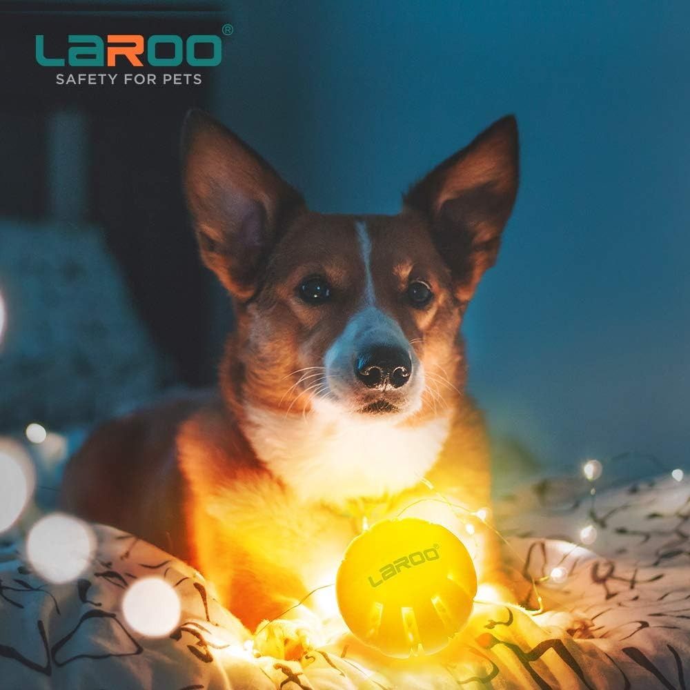 Illuminated hotsell dog ball