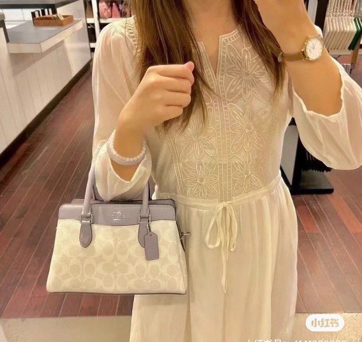 Coach mini top carryall