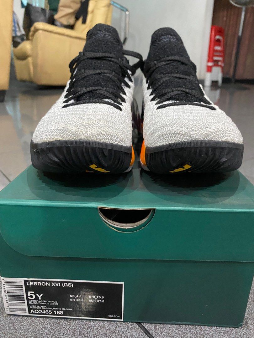lebron xvi gs