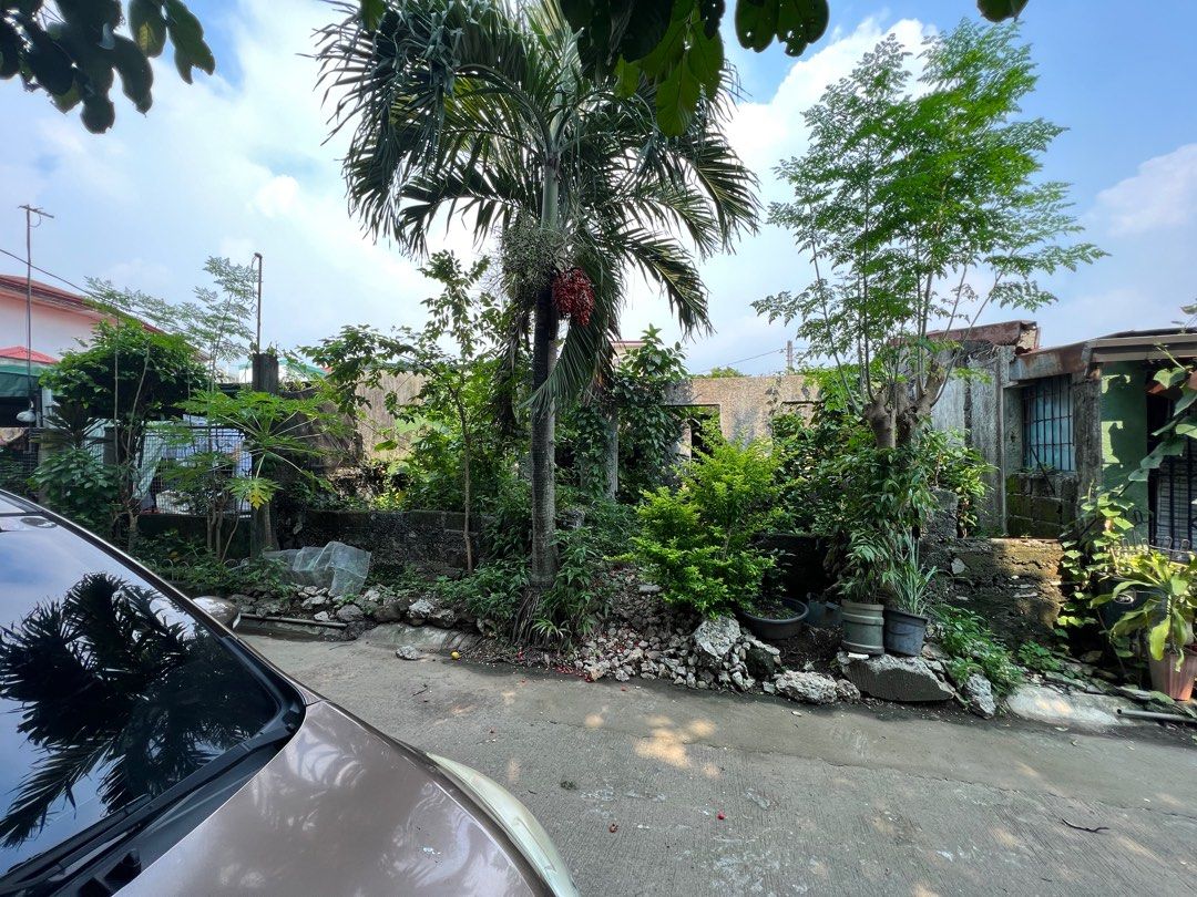 Northcrest Village Bagumbong lot for sale , Property, For Sale, Lot on