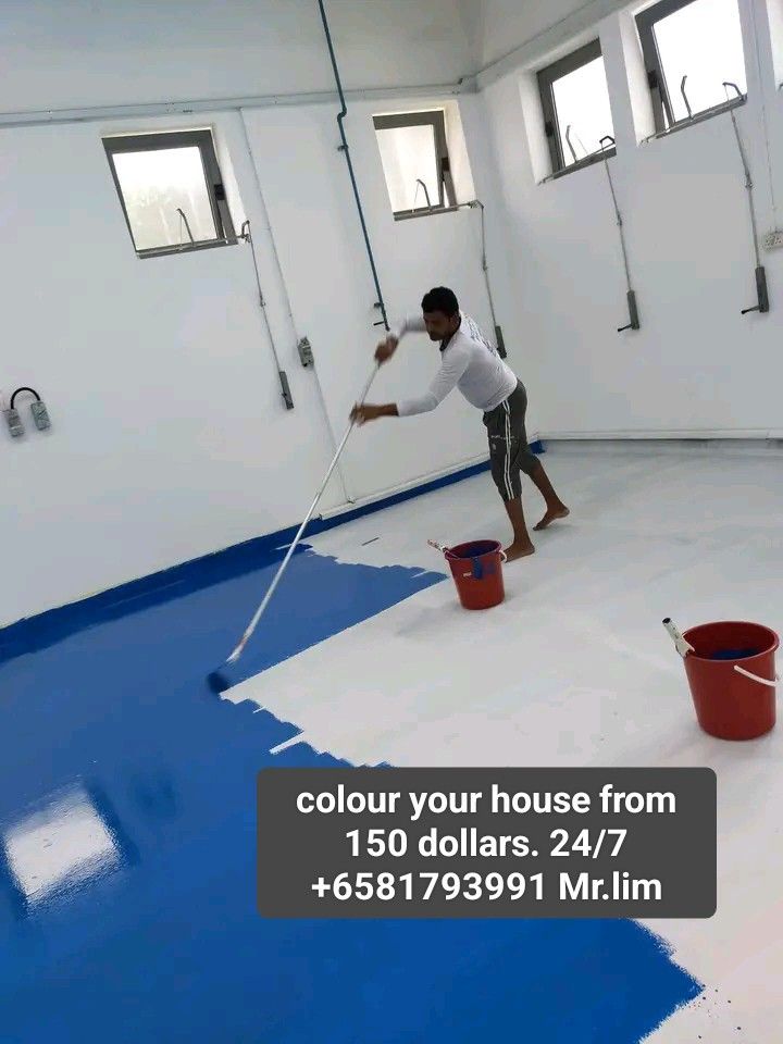 Painting service /epoxy service / plastering service /house paintig