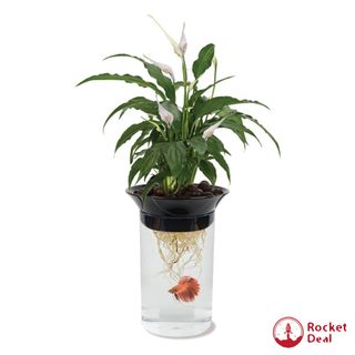 (Category: ) located in . Submitted by rocketdeal (Listing ID 1241426564, Image 1). Description: .