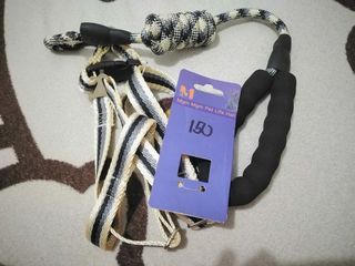 Pet dog harness with leash collar