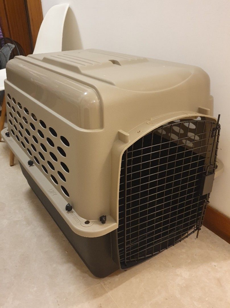 Petmate store travel kennel
