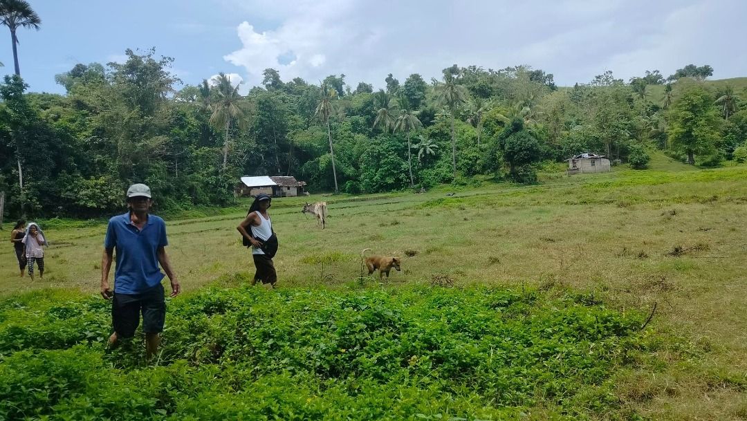 River front lot for sale 40,000 sqm Getafe Bohol Philippines 100/sqm