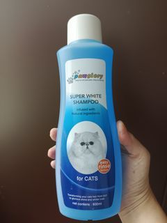 Shampo untuk Kucing