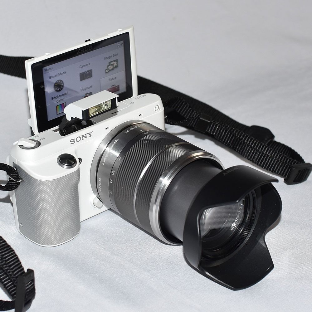 Sony NEXF3 mirrorless camera with 1855mm OSS lens (with Sony camera