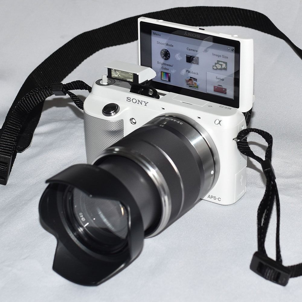 Sony NEXF3 mirrorless camera with 1855mm OSS lens (with Sony camera