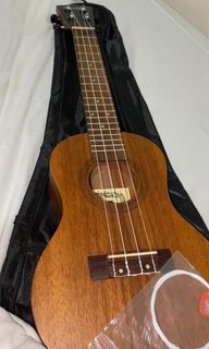 UKULELE CONCERT 21 INC