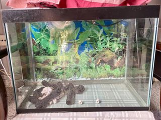(Category: ) located in . Submitted by tamakuchi (Listing ID 1241619141, Image 1). Description: .