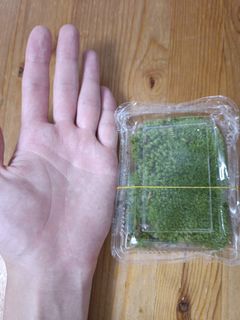 （分類：）位於 。 由 okbag 提交（商品編號 1241727728，圖片 1）。簡介： 。